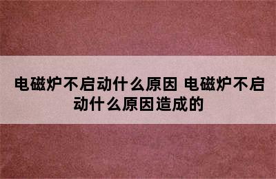 电磁炉不启动什么原因 电磁炉不启动什么原因造成的